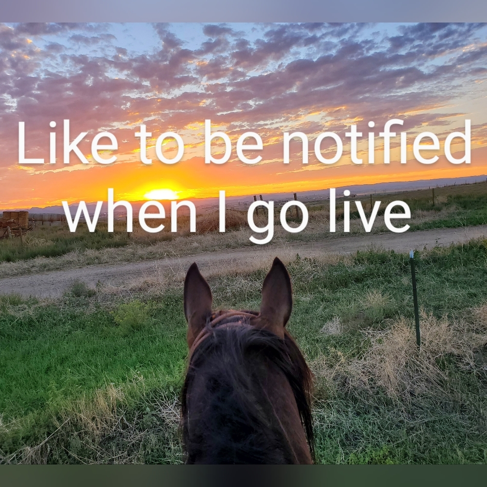 Live/Silent show Notification!!!